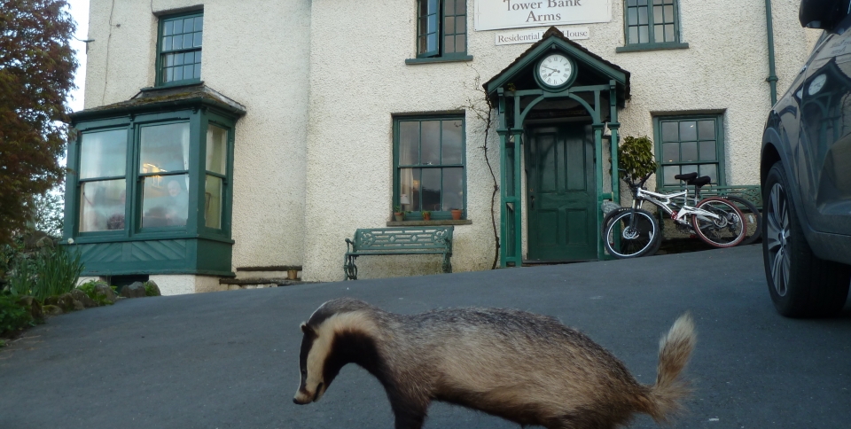 Bertie has been known to visit other hostelries